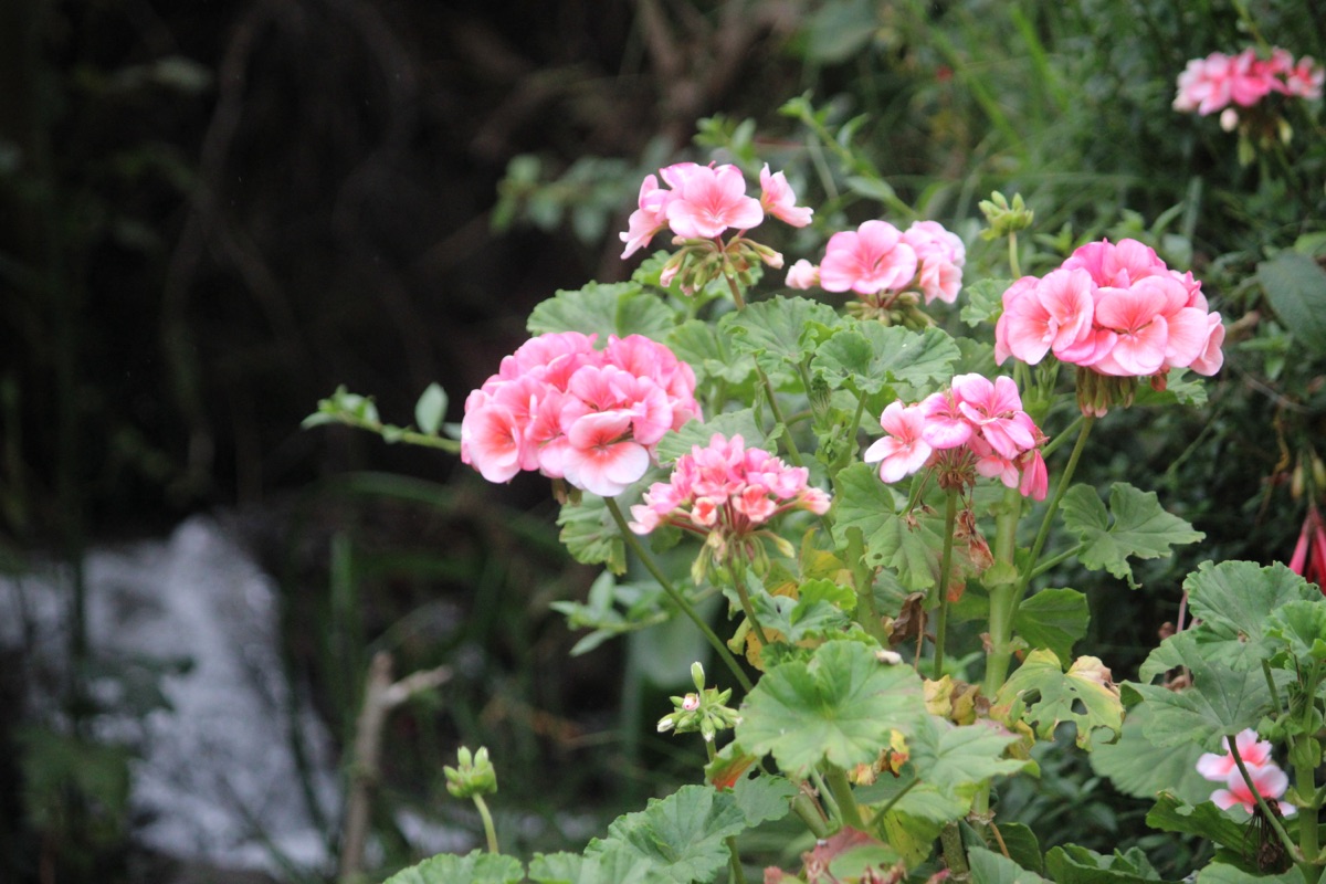 Photograph 17