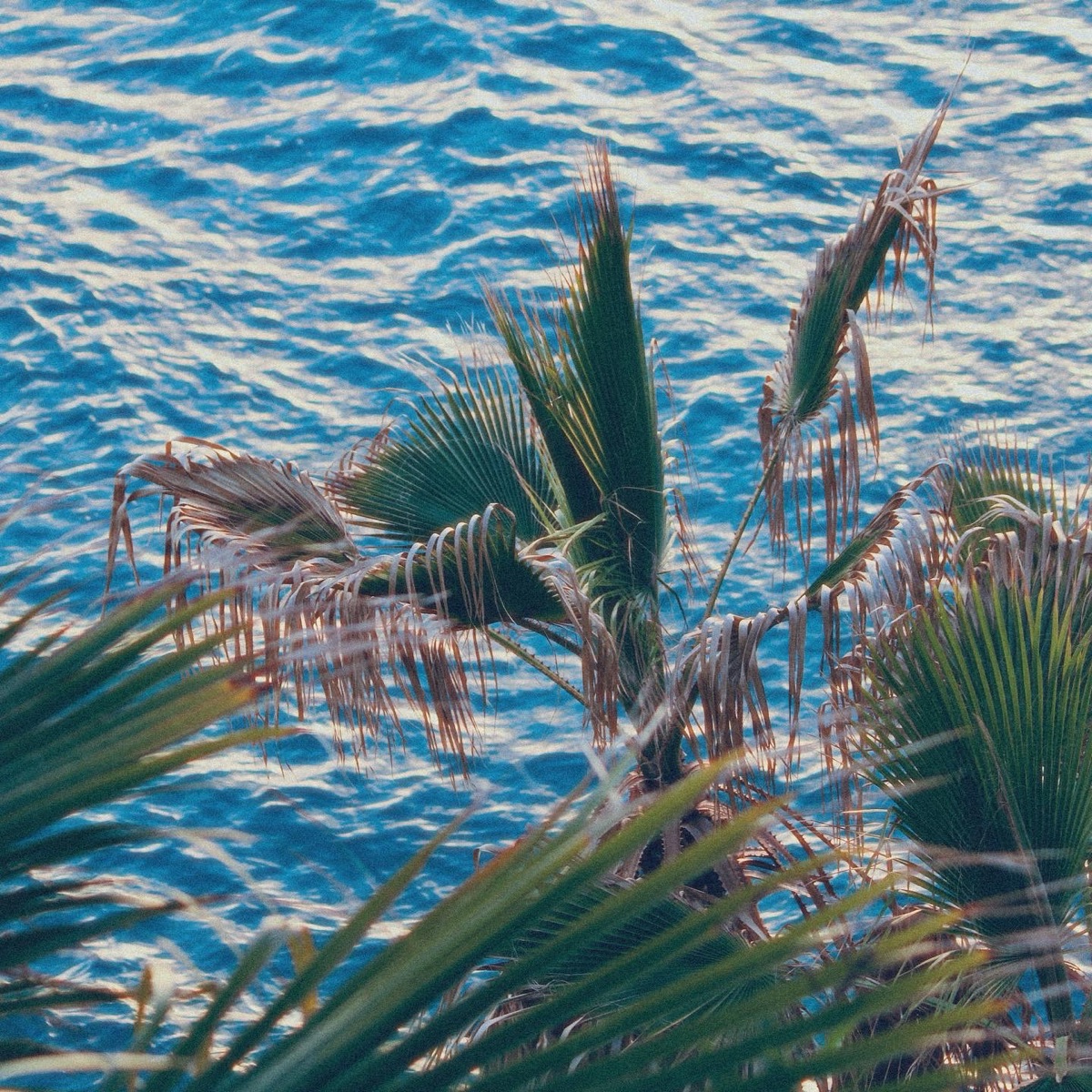 Photograph 2