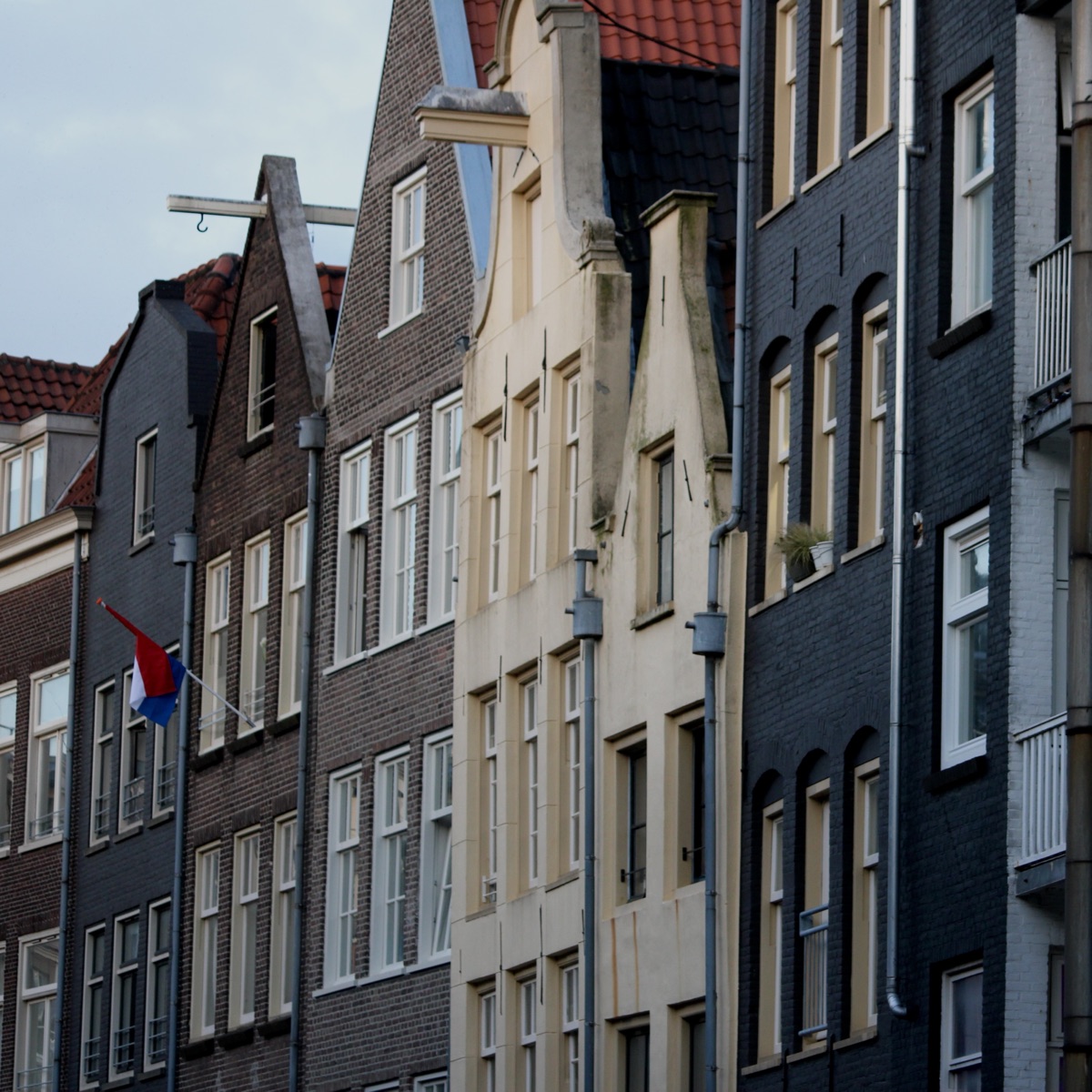 Photograph 9
